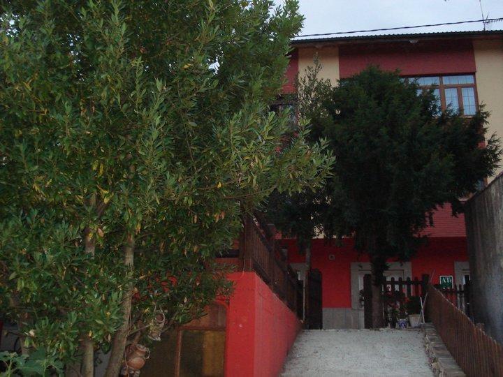 Apartamentos Rurales Les Martes フェレチョサ エクステリア 写真